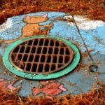 Blocked Drains – Causes, Prevention & What To Do in Eastern Suburbs Blocked Drains – Causes, Prevention & What To Do in Eastern Suburbs