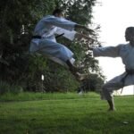 Martial Arts Movie Themes Dominate Asian-Market Slot Machine Design
